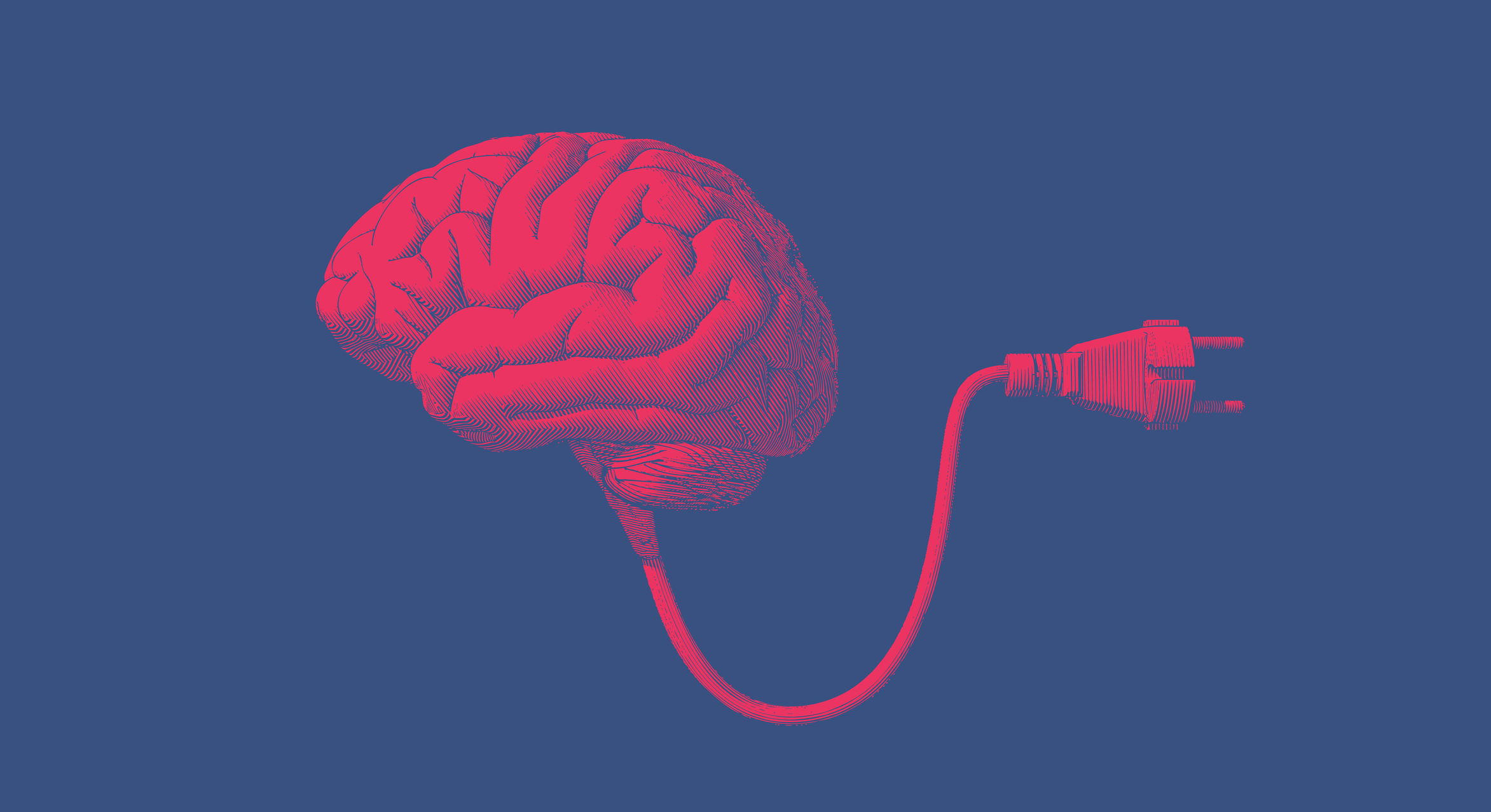 Insights Nieuws Bloovi