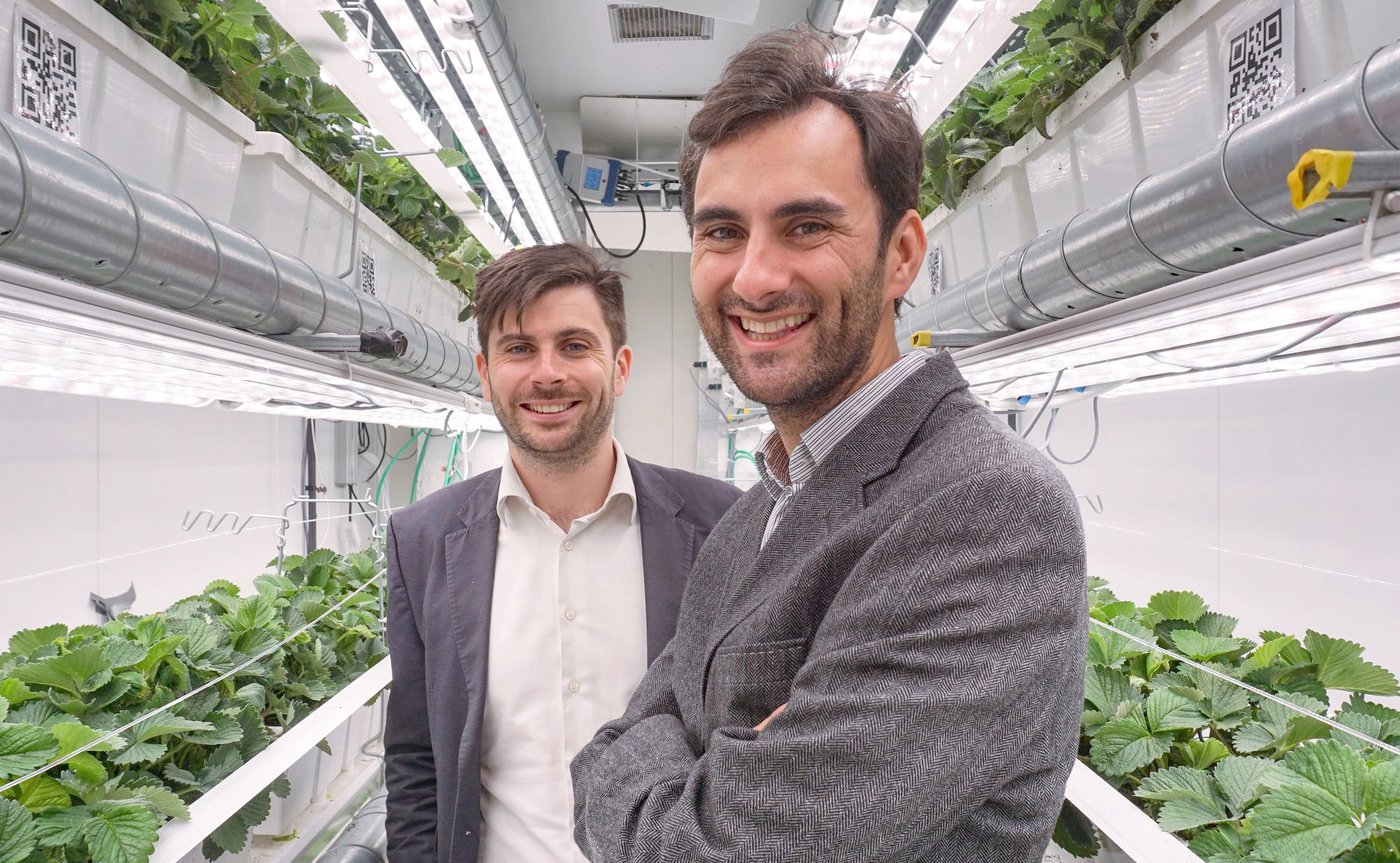 Dankzij deze Brusselse start-up kunnen aardbeien altijd en overal worden geteeld: “Fier dat we alles zelf hebben opgebouwd”