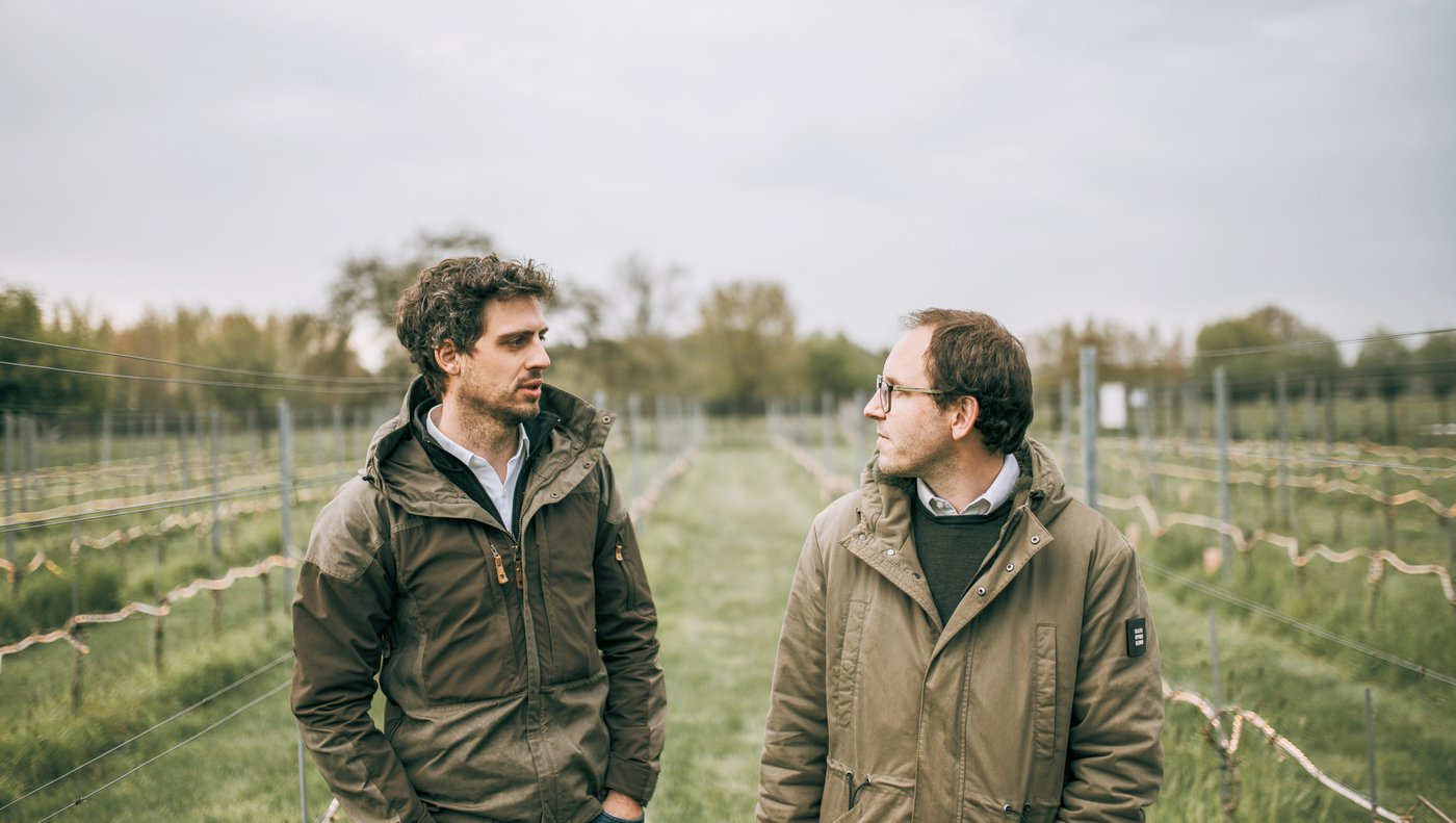 Deze Vlaamse ingenieurs willen wereldwijd doorbreken met hun infraroodsysteem om wijnranken te beschermen tegen nachtvorst