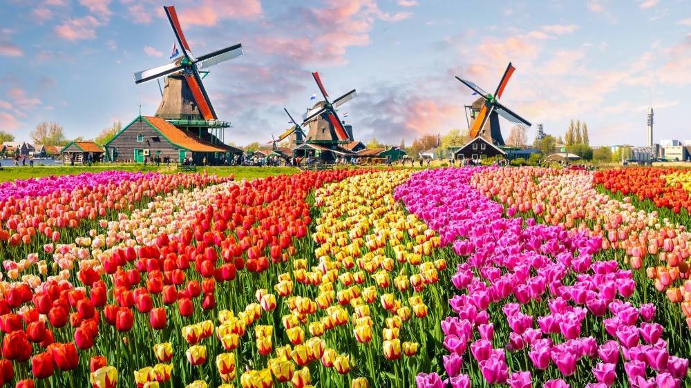 Dit zijn de 10 meest veelbelovende disruptors van Nederland en wat wij Belgen van hen kunnen leren: