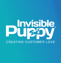 Ex-DigitasLBi CEO investeert in webbureau Invisible Puppy