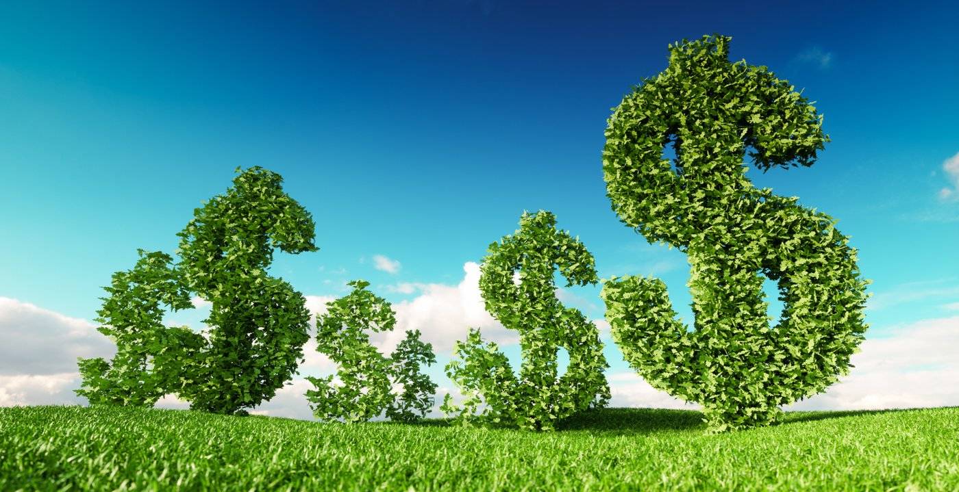 Dat bedrijven (nog) niet groeien door duurzaamheid is niet de schuld van de consument