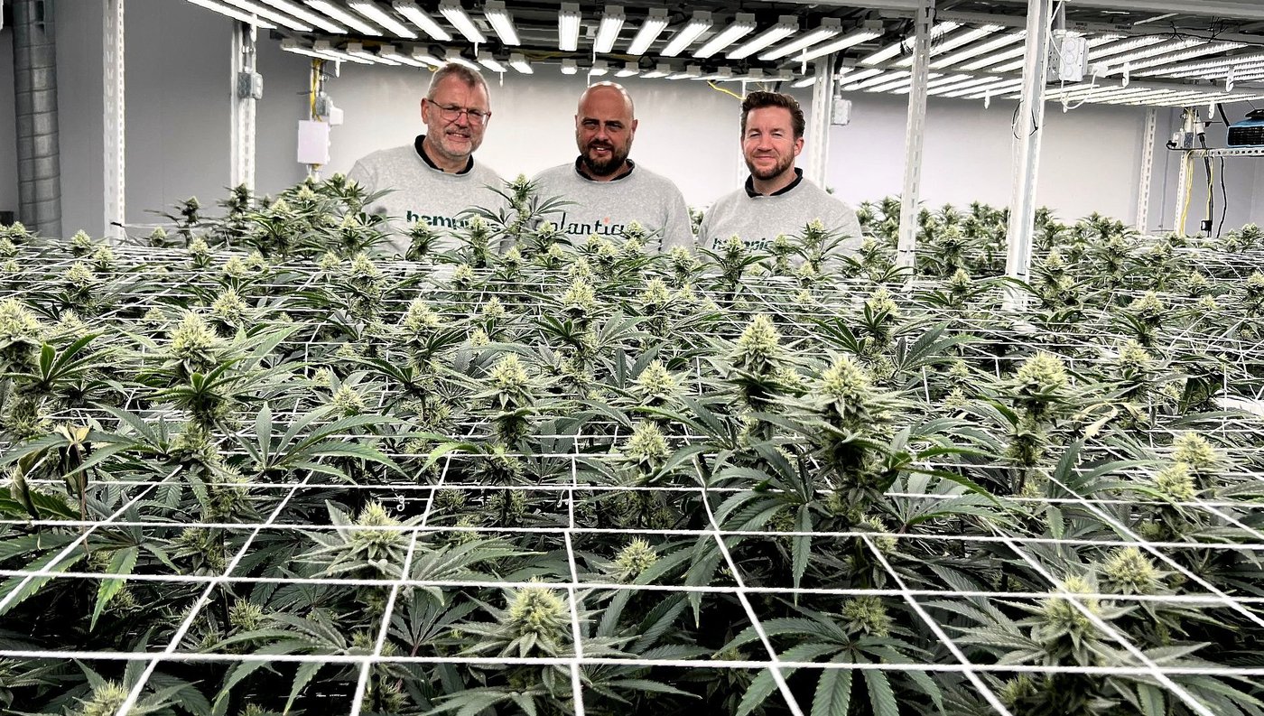 Het zaadje voor deze nieuwe start-up werd geplant tijdens de Bloovi-trip naar Dubai: “Ons team vindt het cool om iets rond cannabis te doen”
