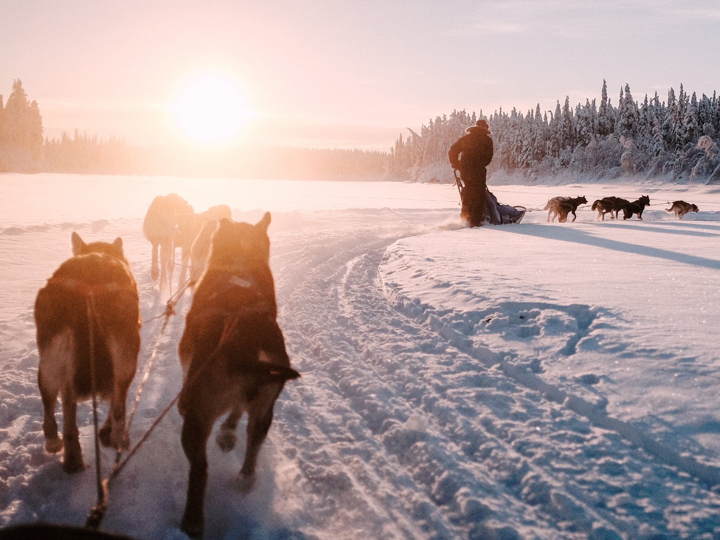 Hoge noo(r)d aan verbinding: Nordic betovert met once in a lifetime bedrijfsincentives in het Hoge Noorden “Op dat moment is iedereen weer gewoon mens”