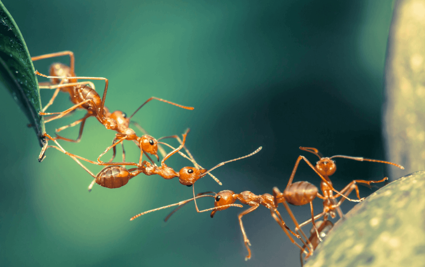 In de digitale economie beslissen soft skills over het succes van je bedrijf