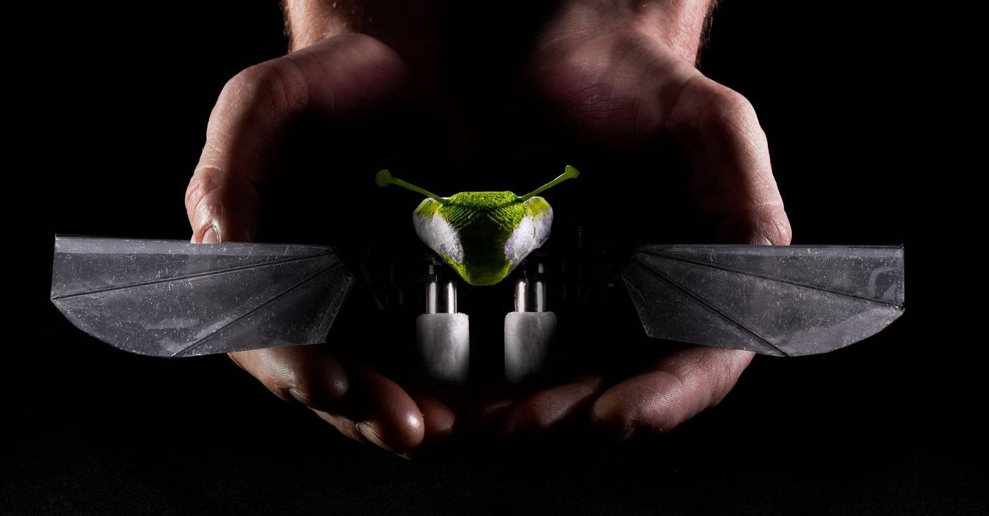 In de marge: Leuvense start-up lanceert insecten-drone met 'echte' vleugels