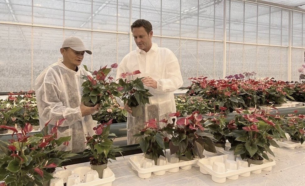 ‘Ondergedoken’ Alibaba-founder Jack Ma duikt op in Nederlandse serres