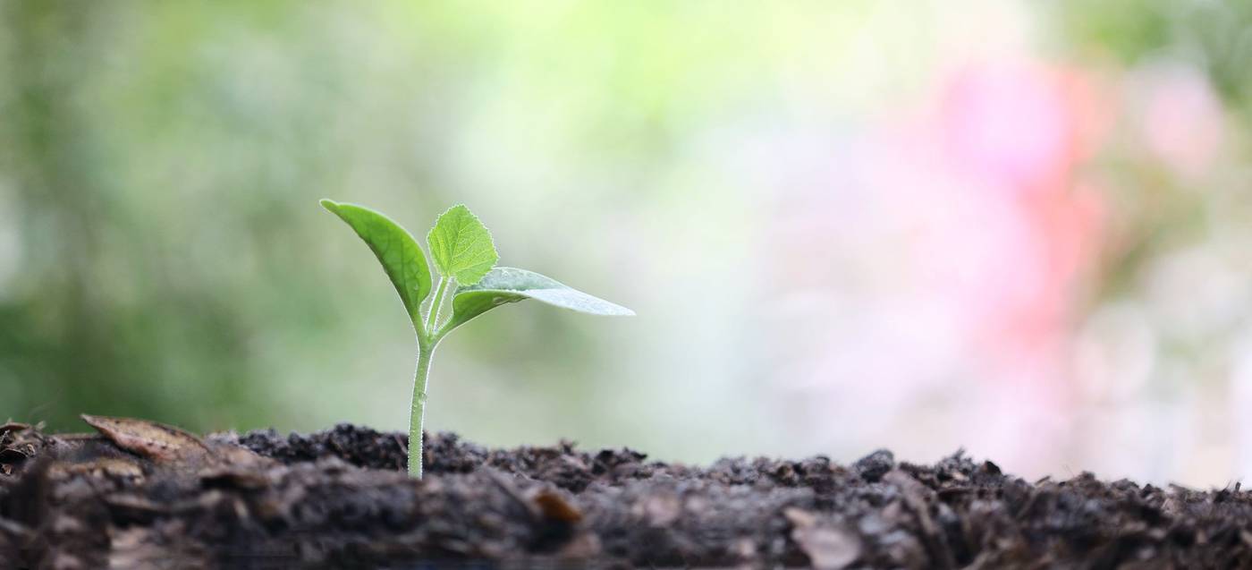 Pas jij jouw leiderschapstrategie aan naargelang je start-up groeit?