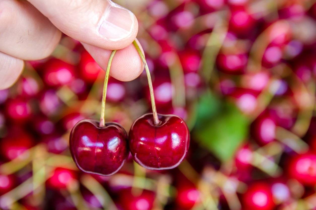 Weg met abonnementen en cherry picking: de toekomst van digital onder de loep