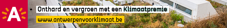 Klimaatverandering aanpakken: dit Antwerps bedrijf toont initiatief met ontharding en hergebruik van regenwater