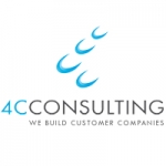 4C Consulting NV
